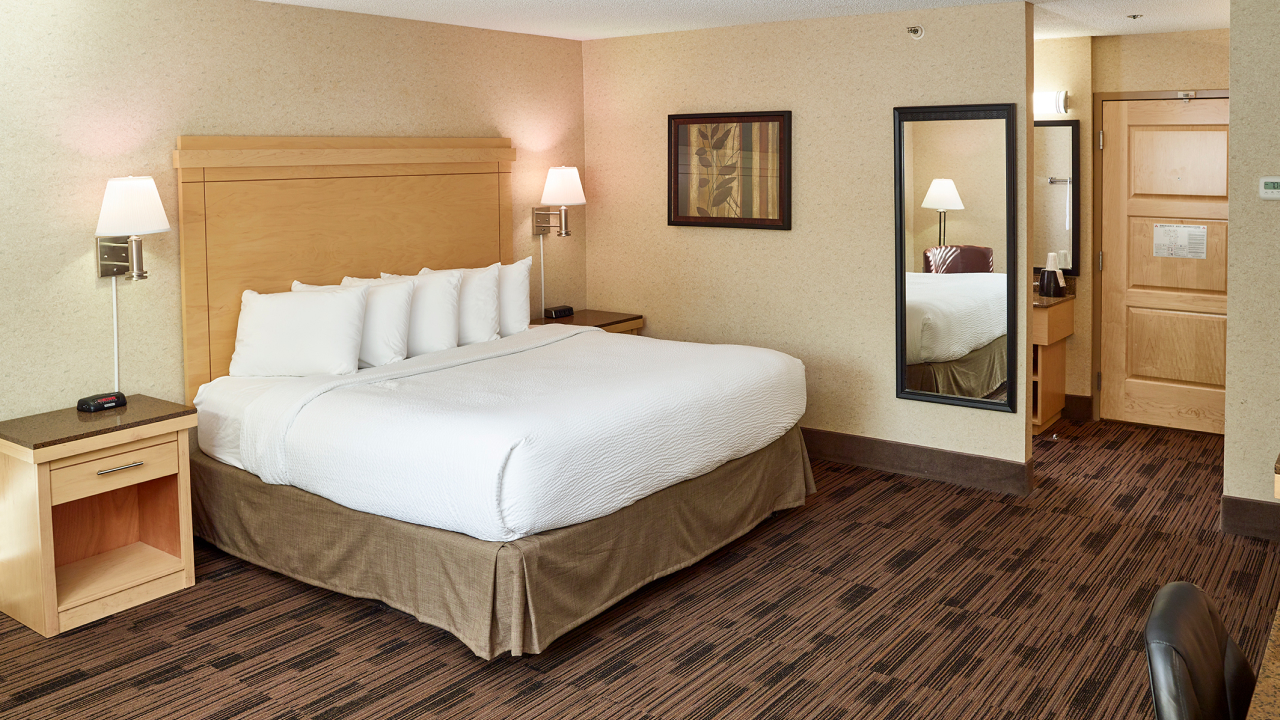 Standard King Non-Smoking at LivINN Hotel Minneapolis North/Fridley