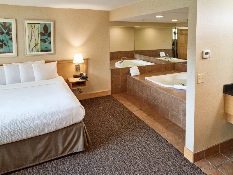 Jacuzzi Suite Non Smoking at LivINN Hotel Minneapolis NorthFridley